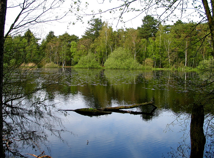 CuxMai2005 073