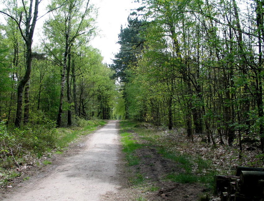CuxMai2005 076